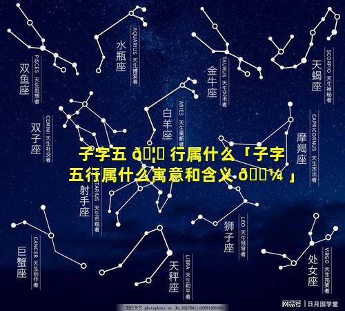 子字五 🦄 行属什么「子字五行属什么寓意和含义 🌼 」
